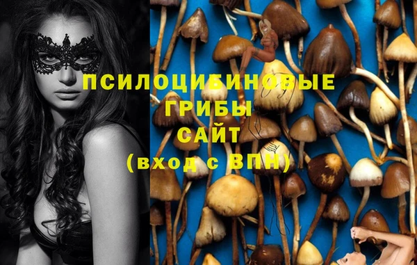прущая мука Нея