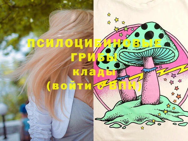 прущая мука Нея